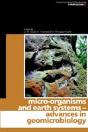 Micro-Organisms And Earth Systems - Preview