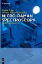 Micro-Raman Spectroscopy - Preview