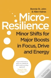 Capa do artigo Micro-Resilience