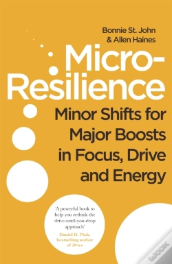 Capa do artigo Micro-Resilience