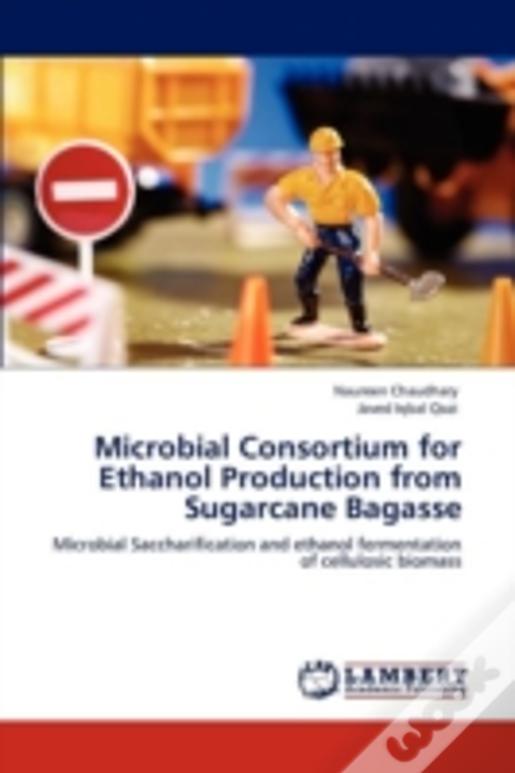 Microbial Consortium For Ethanol Production From Sugarcane Bagasse