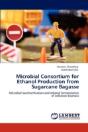 Microbial Consortium For Ethanol Production From Sugarcane Bagasse - Preview