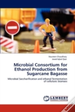 Capa do artigo Microbial Consortium For Ethanol Production From Sugarcane Bagasse