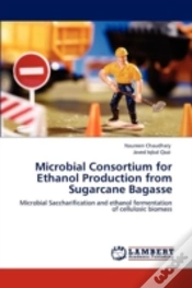 Capa do artigo Microbial Consortium For Ethanol Production From Sugarcane Bagasse