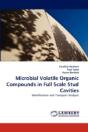 Microbial Volatile Organic Compounds In Full Scale Stud Cavities - Preview