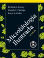 Microbiologia Ilustrada - Preview