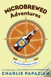 Capa do artigo Microbrewed Adventures