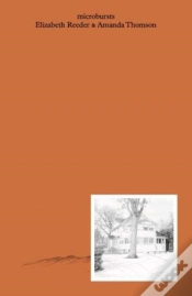 Capa do artigo Microbursts