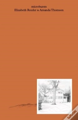 Capa do artigo Microbursts