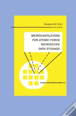 Capa do artigo Microcantilevers For Atomic Force Microscope Data Storage