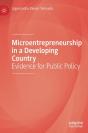 Microentrepreneurship In A Developing Country - Preview