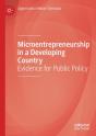 Microentrepreneurship In A Developing Country - Preview