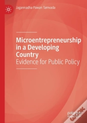 Capa do artigo Microentrepreneurship In A Developing Country
