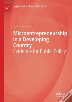 Capa do artigo Microentrepreneurship In A Developing Country
