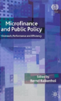 Microfinance And Public Policy - Preview