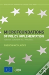 Microfoundations Of Policy Implementation
