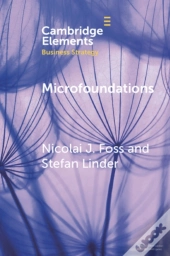 Microfoundations