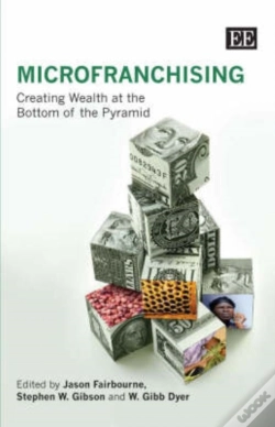 Capa do artigo Microfranchising