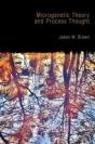 Microgenetic Theory And Process Thought - Preview