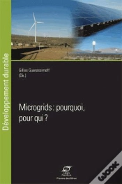 Capa do artigo Microgrids  Pourquoi  Pour Qui
