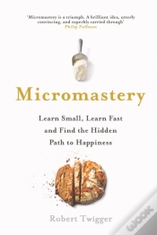 Capa do artigo Micromastery