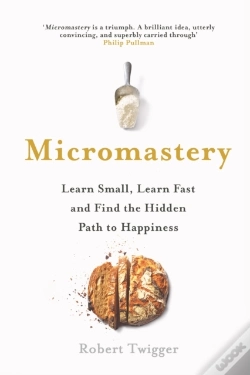 Capa do artigo Micromastery
