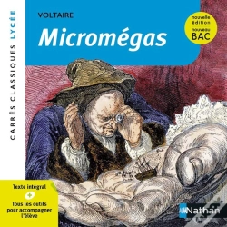 Capa do artigo Micromégas (Édition 2023)