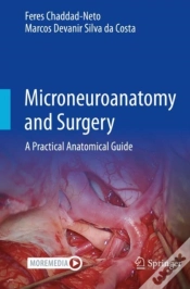 Capa do artigo Microneuroanatomy And Surgery