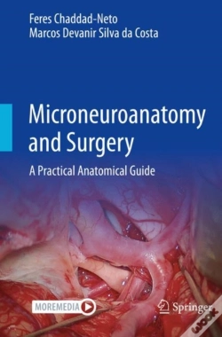 Capa do artigo Microneuroanatomy And Surgery