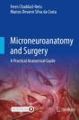 Microneuroanatomy And Surgery - Preview