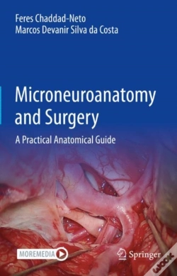 Capa do artigo Microneuroanatomy And Surgery