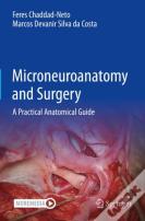 Microneuroanatomy And Surgery