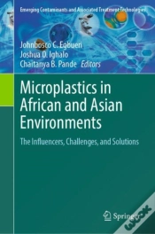 Capa do artigo Microplastics In African And Asian Environments