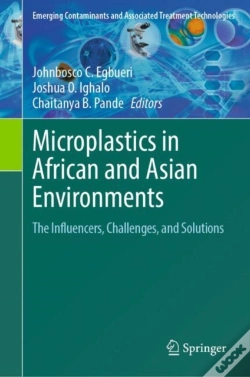 Capa do artigo Microplastics In African And Asian Environments