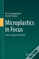 Microplastics In Focus
