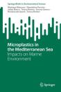 Microplastics In The Mediterranean Sea - Preview