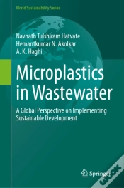 Capa do artigo Microplastics In Wastewater