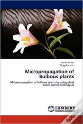 Micropropagation Of Bulbous Plants