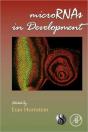 Micrornas In Development - Preview