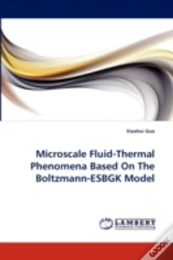 Capa do artigo Microscale Fluid-Thermal Phenomena Based On The Boltzmann-Esbgk Model