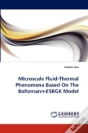 Capa do artigo Microscale Fluid-Thermal Phenomena Based On The Boltzmann-Esbgk Model