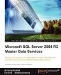 Microsoft Sql Server 2008 R2 Master Data Services - Preview