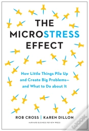 Capa do artigo Microstress Effect