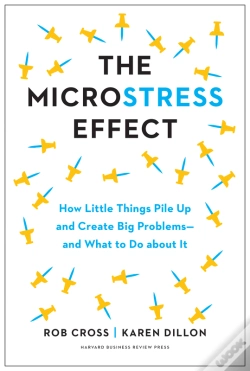 Capa do artigo Microstress Effect