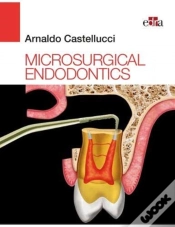 Capa do artigo Microsurgical Endodontics