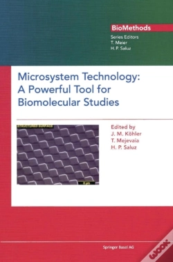 Capa do artigo Microsystem Technology