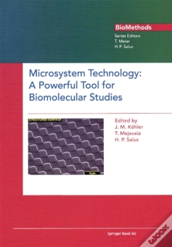 Capa do artigo Microsystem Technology
