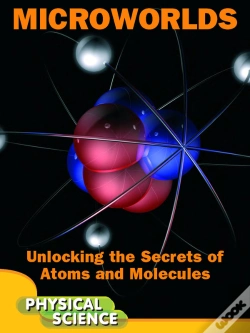 Capa do artigo Microworlds