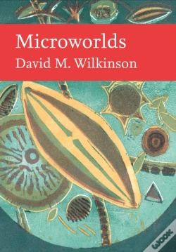 Capa do artigo Microworlds