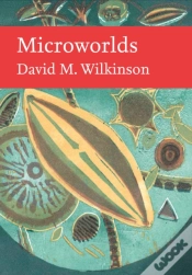Capa do artigo Microworlds